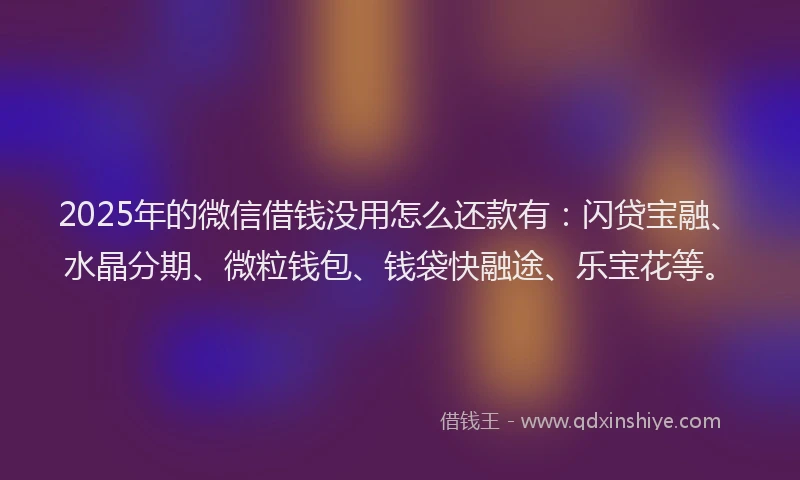 2025年的微信借钱没用怎么还款有：闪贷宝融、水晶分期、微粒钱包、钱袋快融途、乐宝花等。