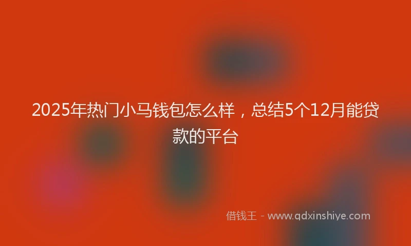 2025年热门小马钱包怎么样，总结5个12月能贷款的平台
