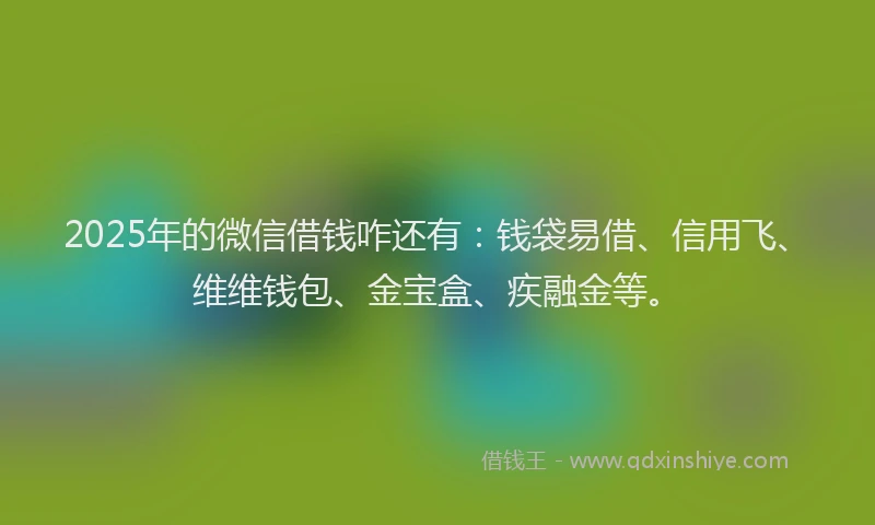 2025年的微信借钱咋还有：钱袋易借、信用飞、维维钱包、金宝盒、疾融金等。