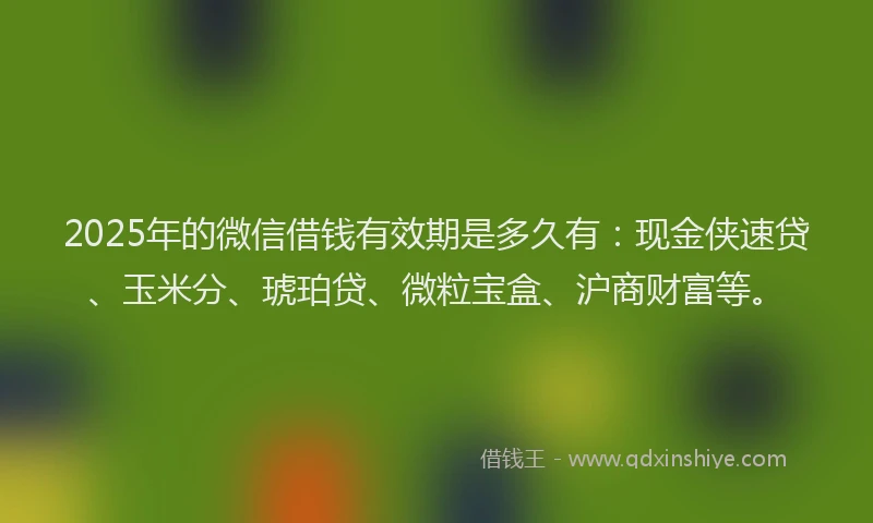 2025年的微信借钱有效期是多久有：现金侠速贷、玉米分、琥珀贷、微粒宝盒、沪商财富等。