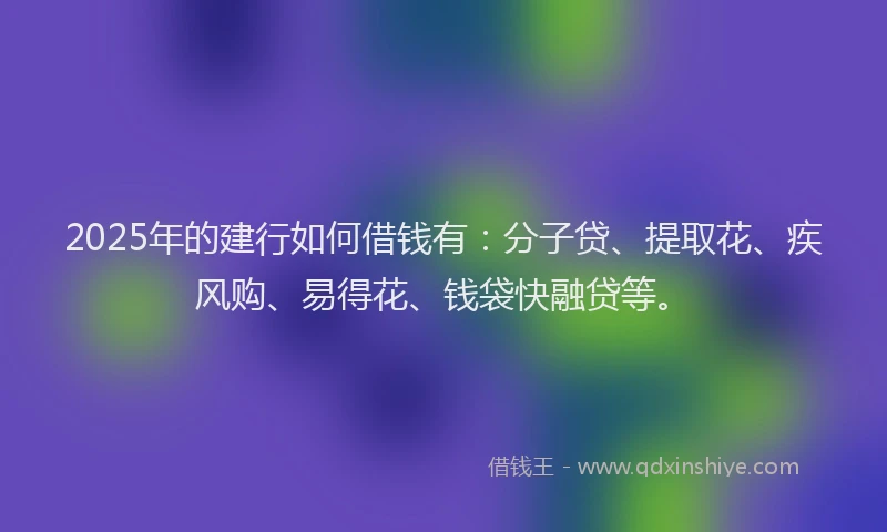 2025年的建行如何借钱有：分子贷、提取花、疾风购、易得花、钱袋快融贷等。