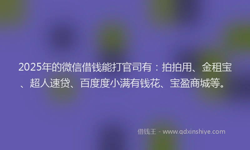 2025年的微信借钱能打官司有：拍拍用、金租宝、超人速贷、百度度小满有钱花、宝盈商城等。