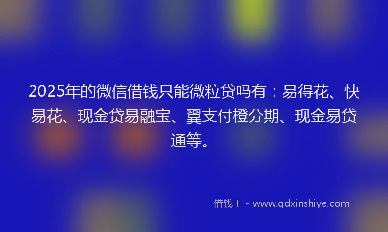 2025年的微信借钱只能微粒贷吗有：易得花、快易花、现金贷易融宝、翼支付橙分期、现金易贷通等。