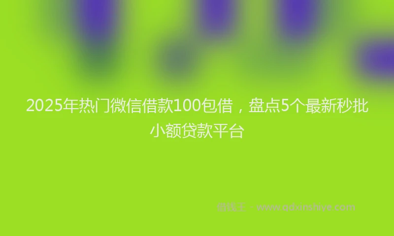 2025年热门微信借款100包借，盘点5个最新秒批小额贷款平台