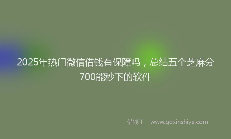 2025年热门微信借钱有保障吗，总结五个芝麻分700能秒下的软件