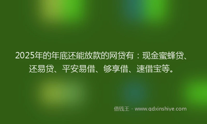 2025年的年底还能放款的网贷有：现金蜜蜂贷、还易贷、平安易借、够享借、速借宝等。