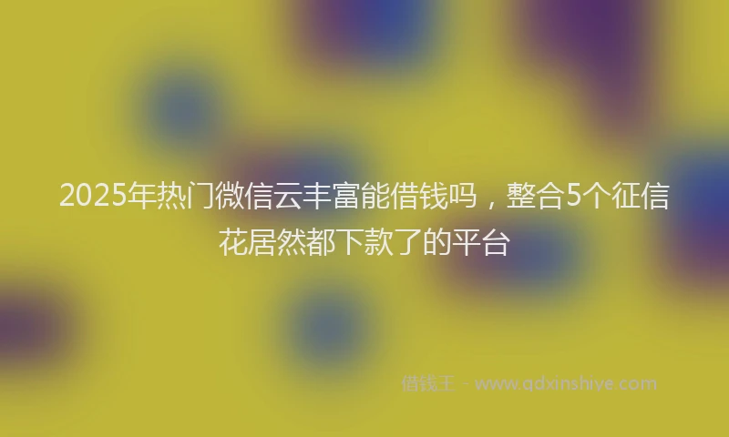 2025年热门微信云丰富能借钱吗，整合5个征信花居然都下款了的平台