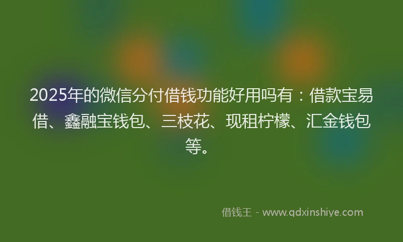 2025年的微信分付借钱功能好用吗有：借款宝易借、鑫融宝钱包、三枝花、现租柠檬、汇金钱包等。