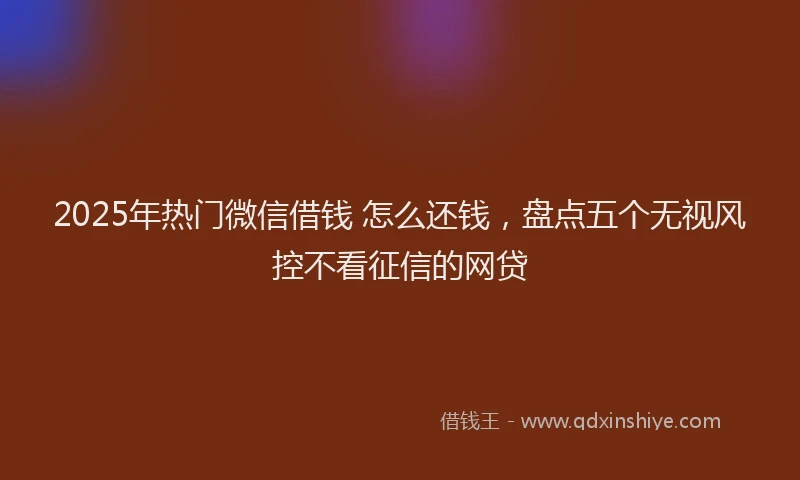 2025年热门微信借钱 怎么还钱，盘点五个无视风控不看征信的网贷