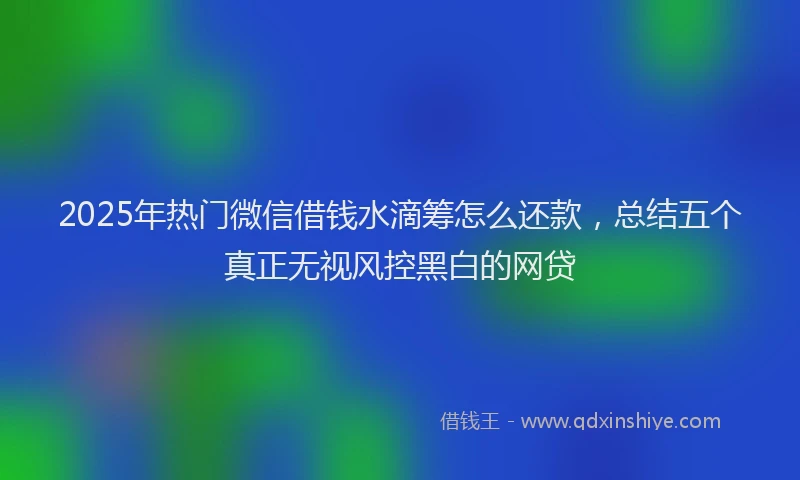 2025年热门微信借钱水滴筹怎么还款，总结五个真正无视风控黑白的网贷