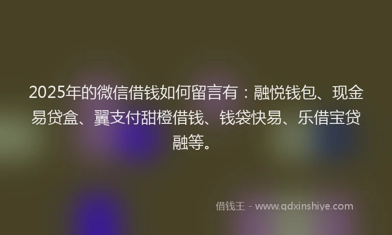 2025年的微信借钱如何留言有：融悦钱包、现金易贷盒、翼支付甜橙借钱、钱袋快易、乐借宝贷融等。