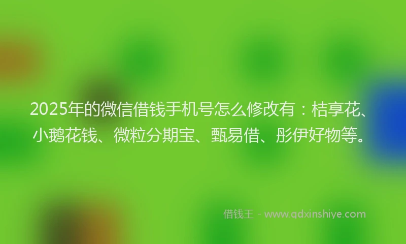 2025年的微信借钱手机号怎么修改有：桔享花、小鹅花钱、微粒分期宝、甄易借、彤伊好物等。