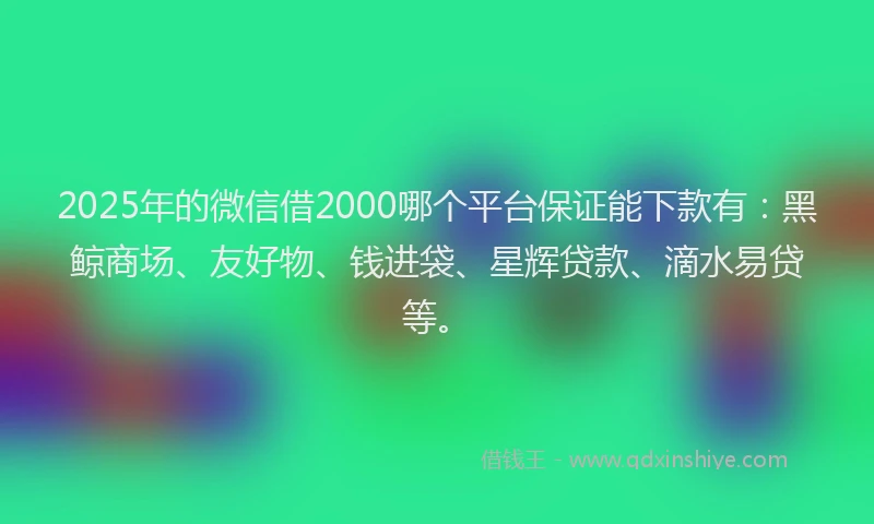 2025年的微信借2000哪个平台保证能下款有：黑鲸商场、友好物、钱进袋、星辉贷款、滴水易贷等。