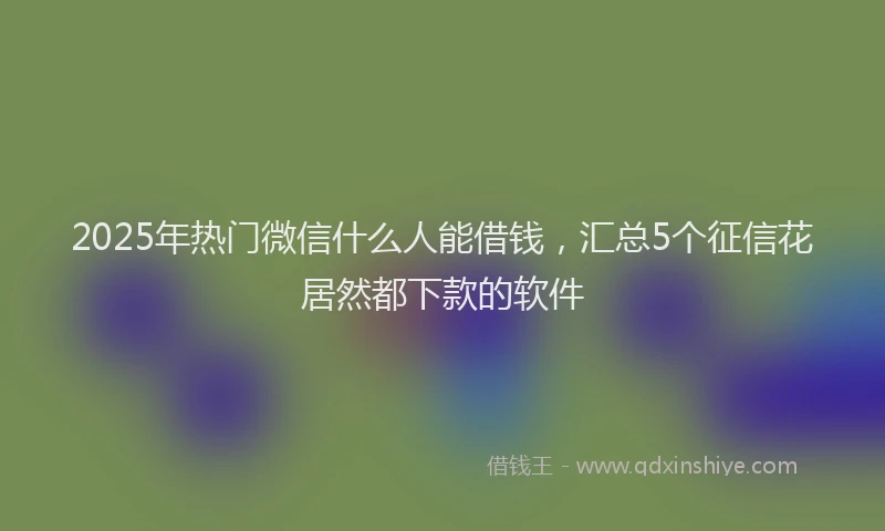 2025年热门微信什么人能借钱，汇总5个征信花居然都下款的软件