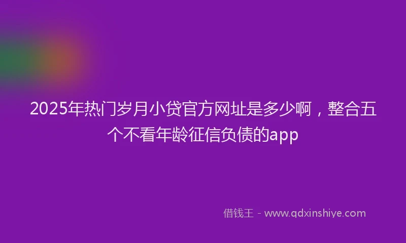 2025年热门岁月小贷官方网址是多少啊，整合五个不看年龄征信负债的app