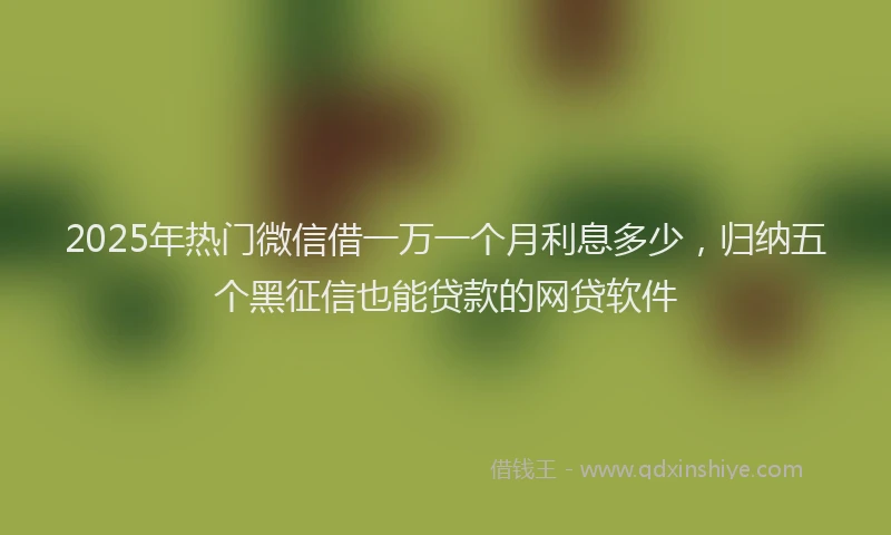 2025年热门微信借一万一个月利息多少，归纳五个黑征信也能贷款的网贷软件