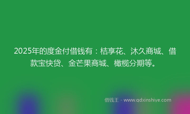 2025年的度金付借钱有：桔享花、沐久商城、借款宝快贷、金芒果商城、橄榄分期等。