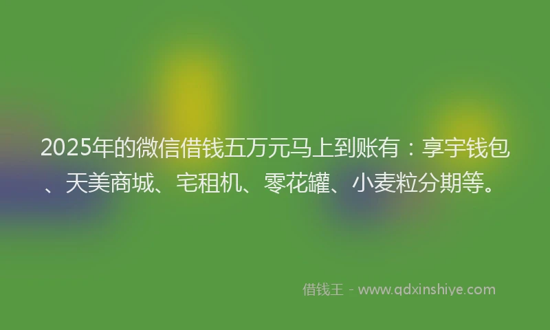 2025年的微信借钱五万元马上到账有：享宇钱包、天美商城、宅租机、零花罐、小麦粒分期等。