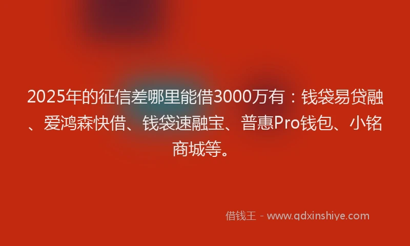 2025年的征信差哪里能借3000万有：钱袋易贷融、爱鸿森快借、钱袋速融宝、普惠Pro钱包、小铭商城等。