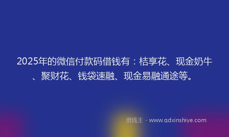 2025年的微信付款码借钱有：桔享花、现金奶牛、聚财花、钱袋速融、现金易融通途等。