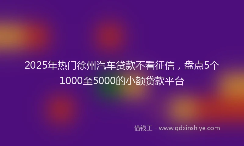 2025年热门徐州汽车贷款不看征信，盘点5个1000至5000的小额贷款平台