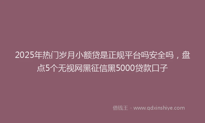2025年热门岁月小额贷是正规平台吗安全吗，盘点5个无视网黑征信黑5000贷款口子