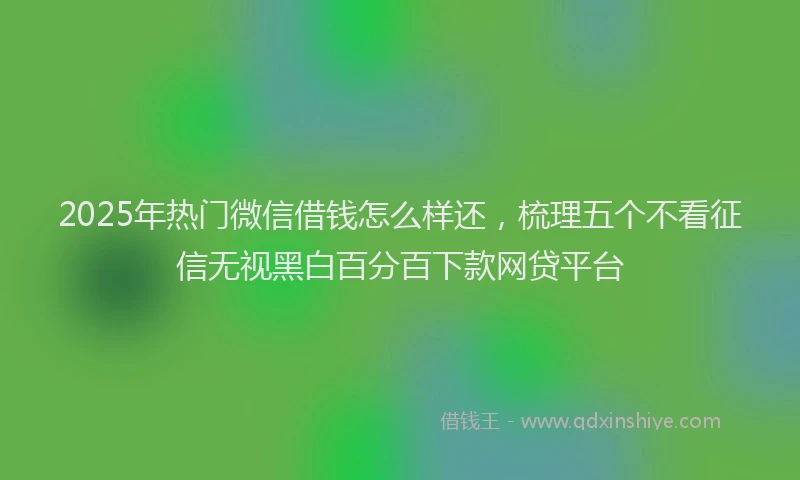 2025年热门微信借钱怎么样还，梳理五个不看征信无视黑白百分百下款网贷平台