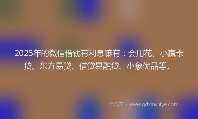 2025年的微信借钱有利息嘛有:会用花、小赢卡贷、东方易贷、借贷易融贷、小象优品等。