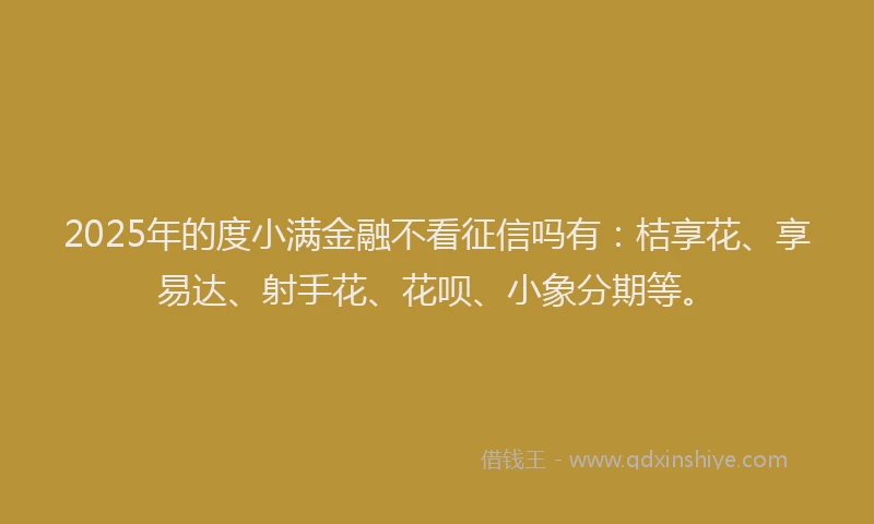 2025年的度小满金融不看征信吗有：桔享花、享易达、射手花、花呗、小象分期等。