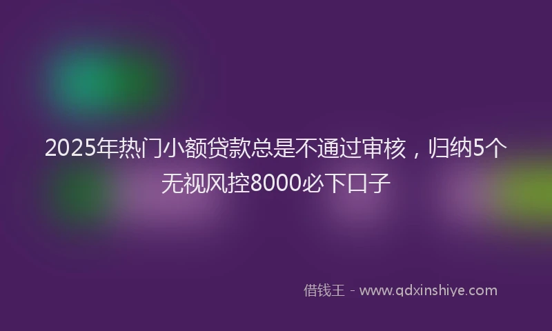 2025年热门小额贷款总是不通过审核，归纳5个无视风控8000必下口子