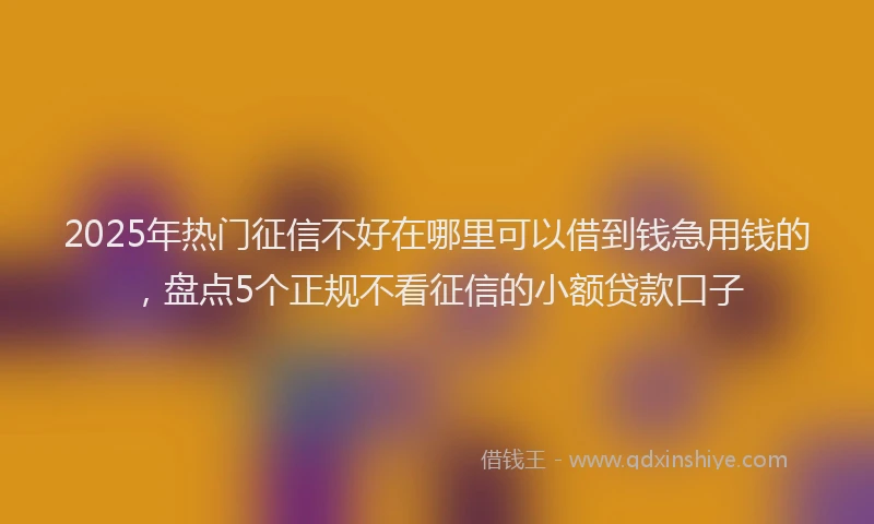 2025年热门征信不好在哪里可以借到钱急用钱的，盘点5个正规不看征信的小额贷款口子