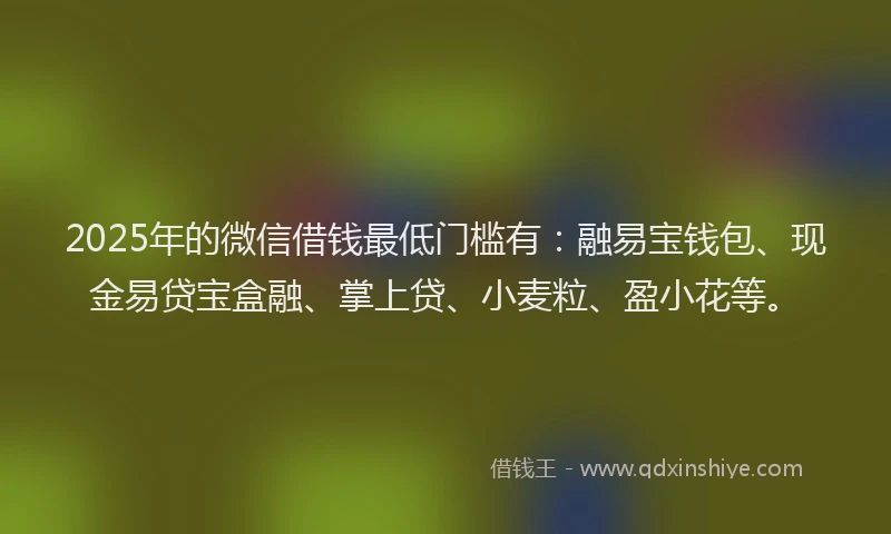 2025年的微信借钱最低门槛有：融易宝钱包、现金易贷宝盒融、掌上贷、小麦粒、盈小花等。