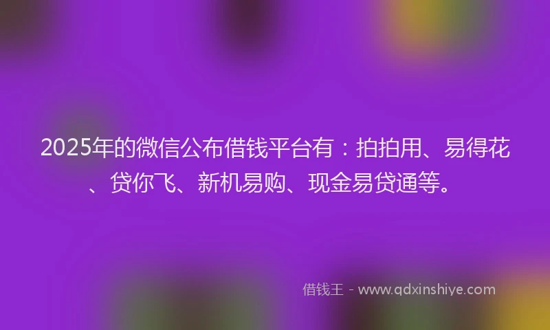 2025年的微信公布借钱平台有：拍拍用、易得花、贷你飞、新机易购、现金易贷通等。