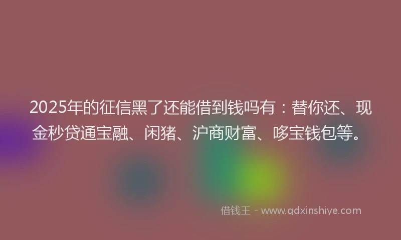 2025年的征信黑了还能借到钱吗有：替你还、现金秒贷通宝融、闲猪、沪商财富、哆宝钱包等。