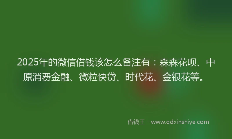 2025年的微信借钱该怎么备注有：森森花呗、中原消费金融、微粒快贷、时代花、金银花等。