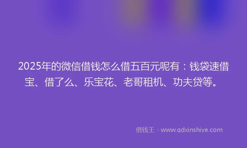 2025年的微信借钱怎么借五百元呢有：钱袋速借宝、借了么、乐宝花、老哥租机、功夫贷等。