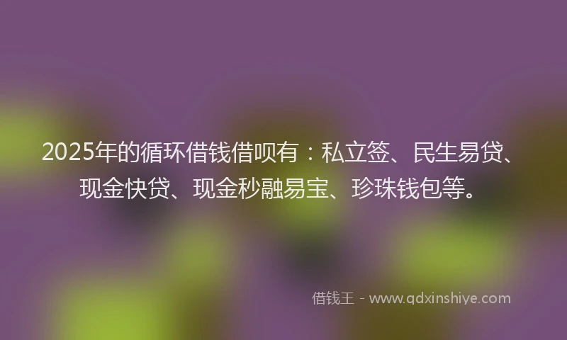 2025年的循环借钱借呗有：私立签、民生易贷、现金快贷、现金秒融易宝、珍珠钱包等。