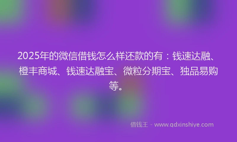 2025年的微信借钱怎么样还款的有:钱速达融、橙丰商城、钱速达融宝、微粒分期宝、独品易购等。