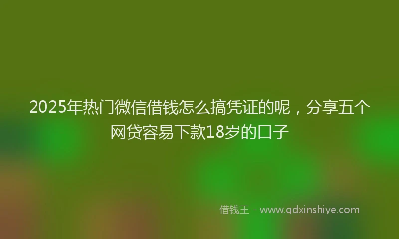 2025年热门微信借钱怎么搞凭证的呢，分享五个网贷容易下款18岁的口子