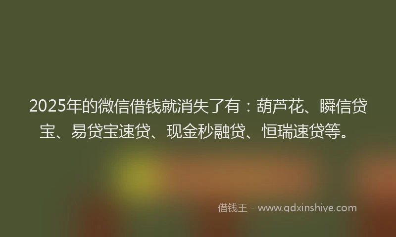 2025年的微信借钱就消失了有：葫芦花、瞬信贷宝、易贷宝速贷、现金秒融贷、恒瑞速贷等。