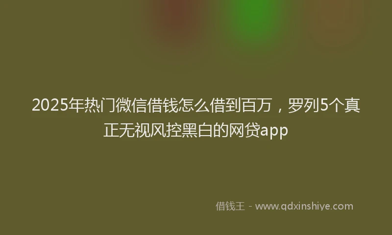2025年热门微信借钱怎么借到百万，罗列5个真正无视风控黑白的网贷app