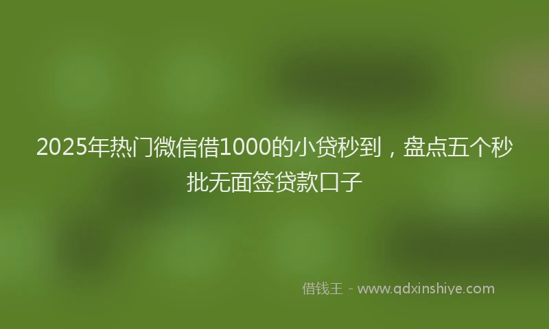 2025年热门微信借1000的小贷秒到,盘点五个秒批无面签贷款口子