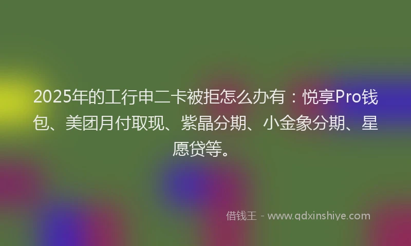 2025年的工行申二卡被拒怎么办有：悦享Pro钱包、美团月付取现、紫晶分期、小金象分期、星愿贷等。