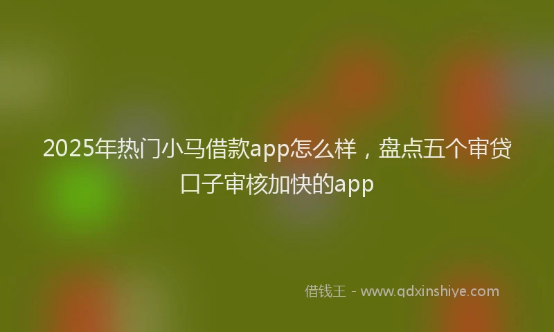 2025年热门小马借款app怎么样，盘点五个审贷口子审核加快的app