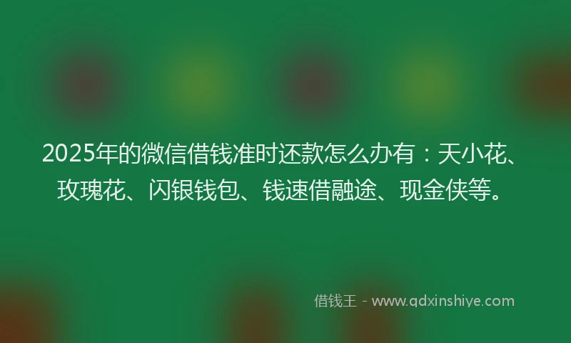 2025年的微信借钱准时还款怎么办有：天小花、玫瑰花、闪银钱包、钱速借融途、现金侠等。