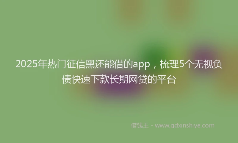 2025年热门征信黑还能借的app，梳理5个无视负债快速下款长期网贷的平台
