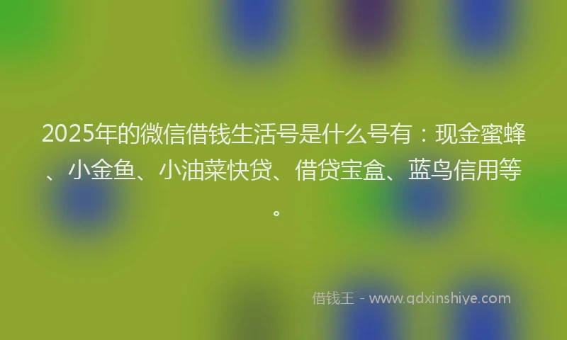 2025年的微信借钱生活号是什么号有：现金蜜蜂、小金鱼、小油菜快贷、借贷宝盒、蓝鸟信用等。