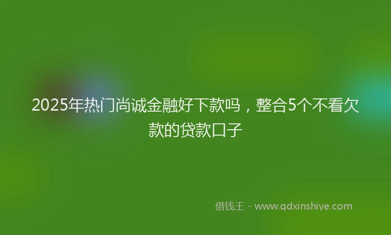2025年热门尚诚金融好下款吗，整合5个不看欠款的贷款口子