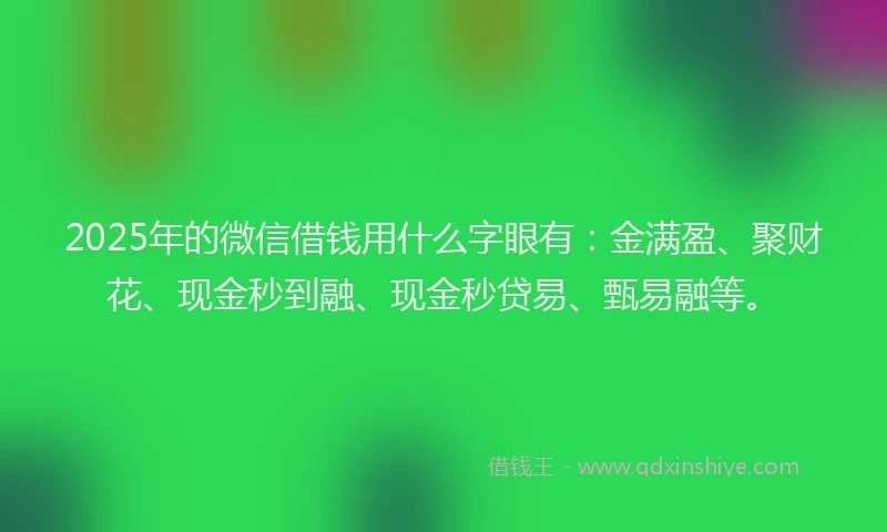 2025年的微信借钱用什么字眼有：金满盈、聚财花、现金秒到融、现金秒贷易、甄易融等。