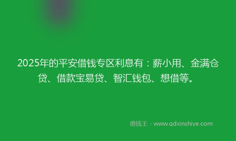2025年的平安借钱专区利息有：薪小用、金满仓贷、借款宝易贷、智汇钱包、想借等。
